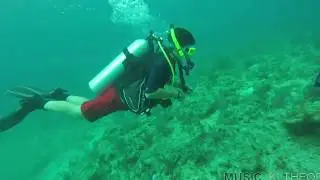 Scuba Diving in Florida