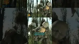 Island of the Dolls is TERRIFYING
