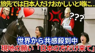 なぜイギリス近衛兵の馬は、一人の日本人だけを特別扱いしたのか？その驚くべき理由に世界が注目！【海外の反応】