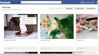 Move photos between Facebook photo albums