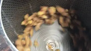 Ginger Peeling Machine - Sree Valsa Engineering Company