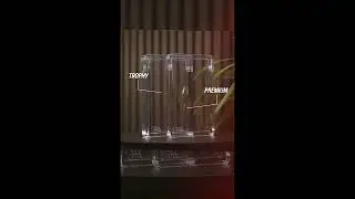SKILTEX - Premium Akryl PSA Graded Kort Display