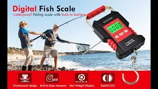 ROEDEER Digital Fish Scale with Backlit LCD Display