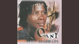 Tshepe