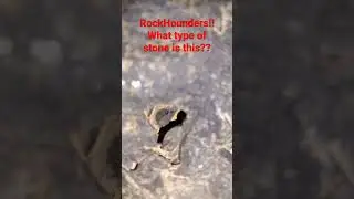 #rockhounding #rockhound #prospecting #gems #creekfind