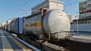 Il saluto della tigre E652 xmpr