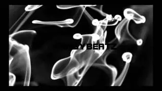 FANSYBEATZ-P LOG.wmv