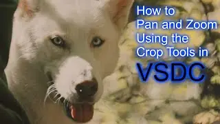 How To Pan and Zoom with VSDC Part 3 (Using Crop)- LW&C with VSDC