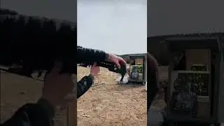 Semi auto air rifle 😲