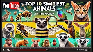 Top 10 Smallest Animals in the World