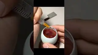 How a Chick 🐣 Artificially born from an Egg || Embryo Development