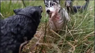 Rise of the Packs S2 EP7~ schleich wolf series