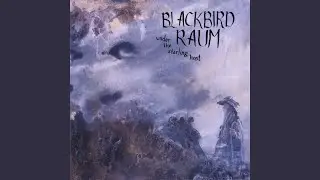 Path of Raven