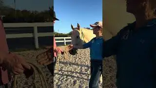 Liberty festival Kentucky -  part 1 - Honza gets a horse