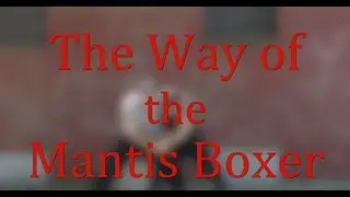 The Way of the Mantis Boxer