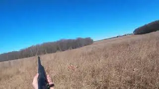 double rooster action