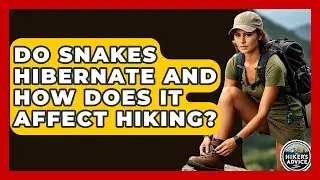 Do Snakes Hibernate And How Does It Affect Hiking? - The Hiker's Advice