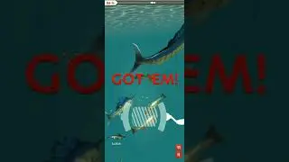 Legendary Swordfish - Rapala Daily Catch
