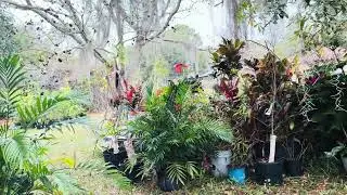 January 2026 my friend let me gardening  in her backyard ￼
