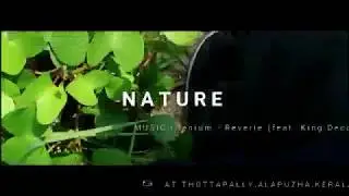 India - Alappuzha unseen lands  Kerala | Canon Cinema | India | Sam kolder | Kold | Cinematic |