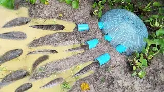 Primitive Technology:  Deep Hole Fish Trap Using PVC And Plastic Bottle To Catch A Lot of Fish