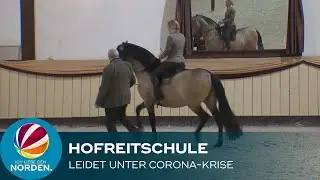Fürstliche Hofreitschule am Schloss Bückeburg leidet unter der Corona-Krise