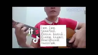 Tiktok: Learn Mandarin 《小蜜蜂》马来西亚华小版童歌 