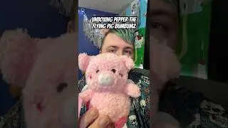 Unboxing Pepper the Flying Pig BumBumz #shorts #bumbumz #stuffedanimals #plush #unboxing #haul