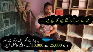 Part time business ideas 2020-21 | 2020-21 main konse profitable birds rakhen |Birds Care