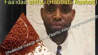 Faa'idaa shifuu (Habbatu Rashad)dhukkuba meeqa akka wal'aantu. #shifu#dr najib #traditional 