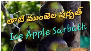#Ice Apple Sarbath #తాటి ముంజెలు #Nungu #Nagercoil #kanyakumari....