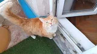 С Кузюшей, моим любимым солнечным сокровищем 🤗❤😘