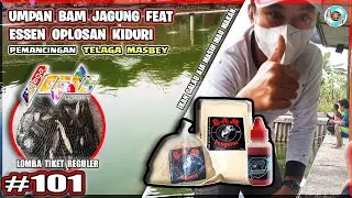 Umpan Viral BAM Jagung Feat Essen Oplosan Kiduri | Angler Dimas Telaga Masbey
