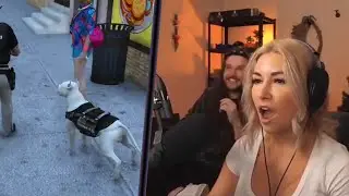 Alinity pets a dog
