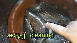 നാടൻ കറൂപ്പ്  മീൻ cleaning/ Karoop Fish Cleaning/പല രീതിയിലും നന്നാക്കാം/ Nadan kallada /Anabas fish