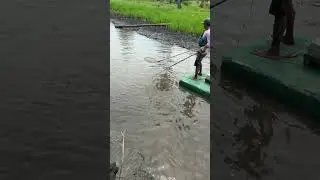 Amazing skill #fishing