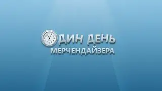 Электронный курс &laquo;Один день из жизни мерчендайзера&raquo; для компании &laquo;Leader Team&raquo;