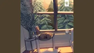 a shady place