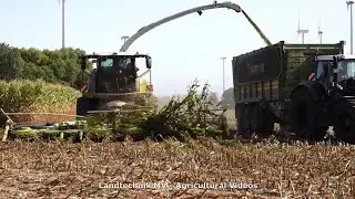 Claas - Fendt - MAN -++ / Mais Silage - Corn Silage  2020  pt.2