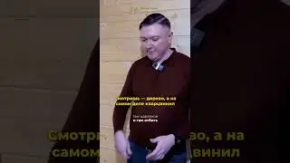Смотришь &mdash; дерево, а на самом деле кварцвинил