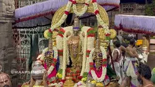 Sri Parthasarathi Swami Vaikasi Visakam Namalwar Avathara Dhinam Purapadu