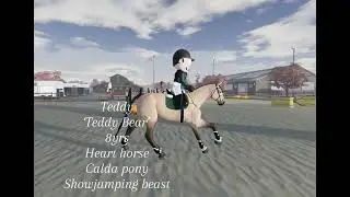 #Emily #Teddy #Zara new rp (btw their both connemaras in rp)