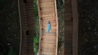 Forest Trail Mumbai 😍😍😍...  #shortvideo #shorts #mumbai #hiddengems #explore #travel #music #love