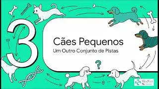 Claudicação do Membro Pélvico