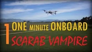 1 MINUTE ONBOARD // SCARAB VAMPIRE