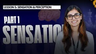 L5: Sensation and Perception – How We Experience the World by Eduveda Academy