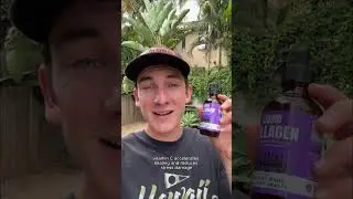 Dog Allergies & Hot Spots? This Helps From the Inside