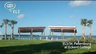 Discover: ELS/St.Petersburg