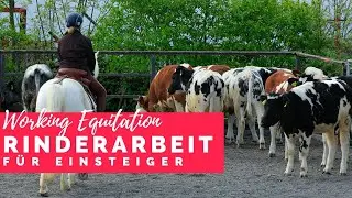 Working Equitation - Rinderarbeit f&uuml;r Einsteiger