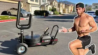 BEST Sled Ever? | Xebex XT3 Plus Sled in 3 MINUTES! | Illuminati Iron